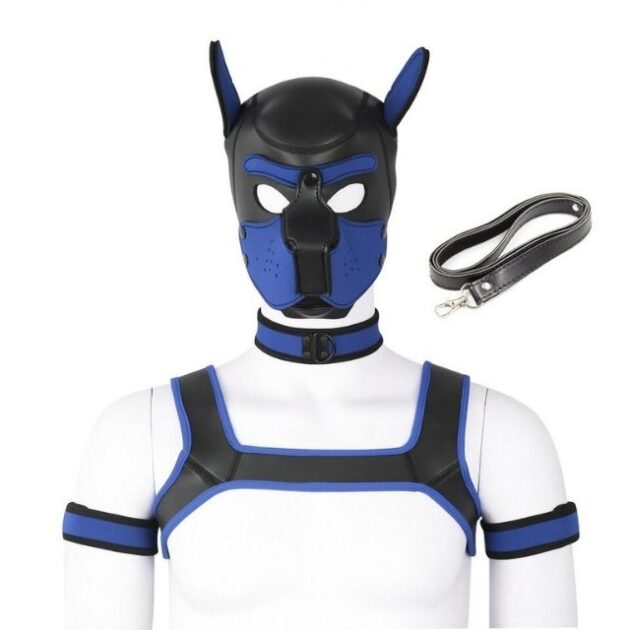 ensemble-petplay-bleu