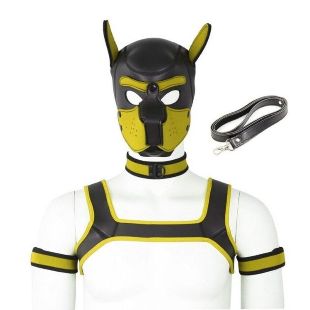 ensemble-petplay-jaune