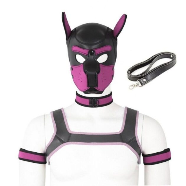 ensemble-petplay-rose