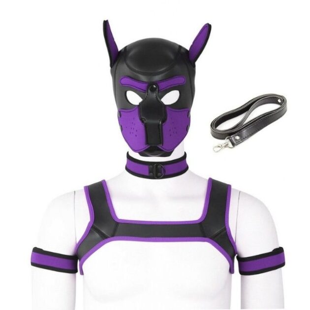 ensemble-petplay-violet